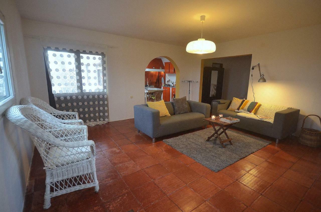 Happy Cat House - Holiday Rental Sao Martinho do Porto Ngoại thất bức ảnh