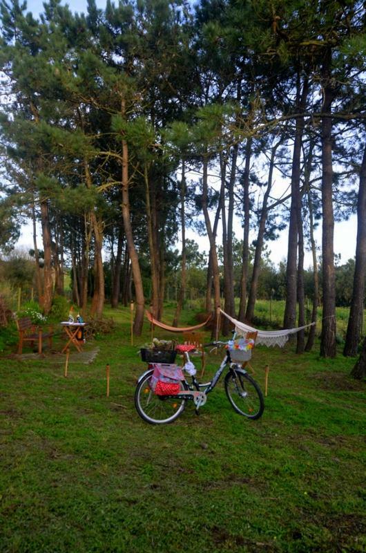 Happy Cat House - Holiday Rental Sao Martinho do Porto Ngoại thất bức ảnh