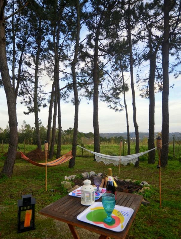 Happy Cat House - Holiday Rental Sao Martinho do Porto Ngoại thất bức ảnh