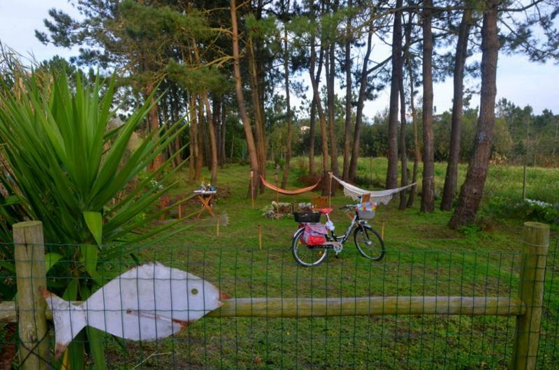 Happy Cat House - Holiday Rental Sao Martinho do Porto Ngoại thất bức ảnh