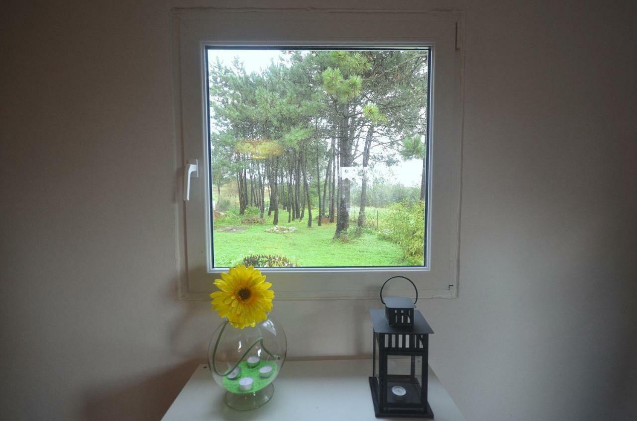 Happy Cat House - Holiday Rental Sao Martinho do Porto Ngoại thất bức ảnh